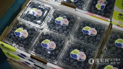蓝铭蓝莓成为马龙区首个果品特质农品