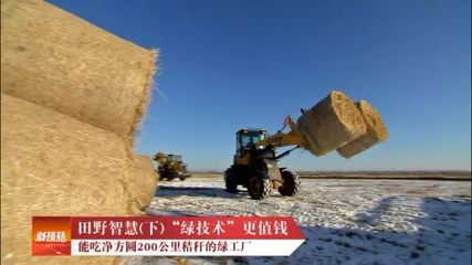 是时候介绍真正的“绿技术”了,再挣千万!